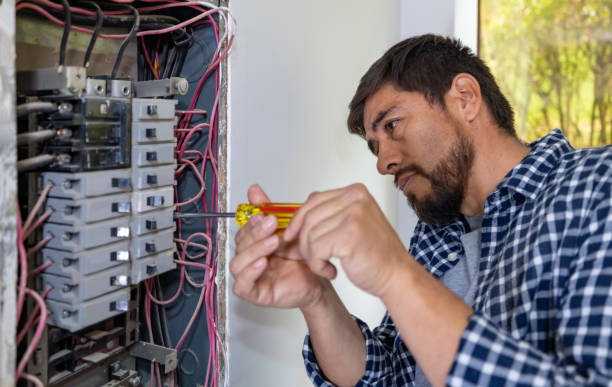 Best Electric Panel Repair  in Andrews, NC
